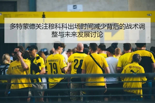 多特蒙德关注穆科科出场时间减少背后的战术调整与未来发展讨论